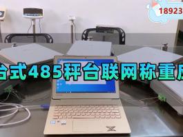 多秤臺同時稱重+分類稱重數(shù)據(jù)管理485通訊